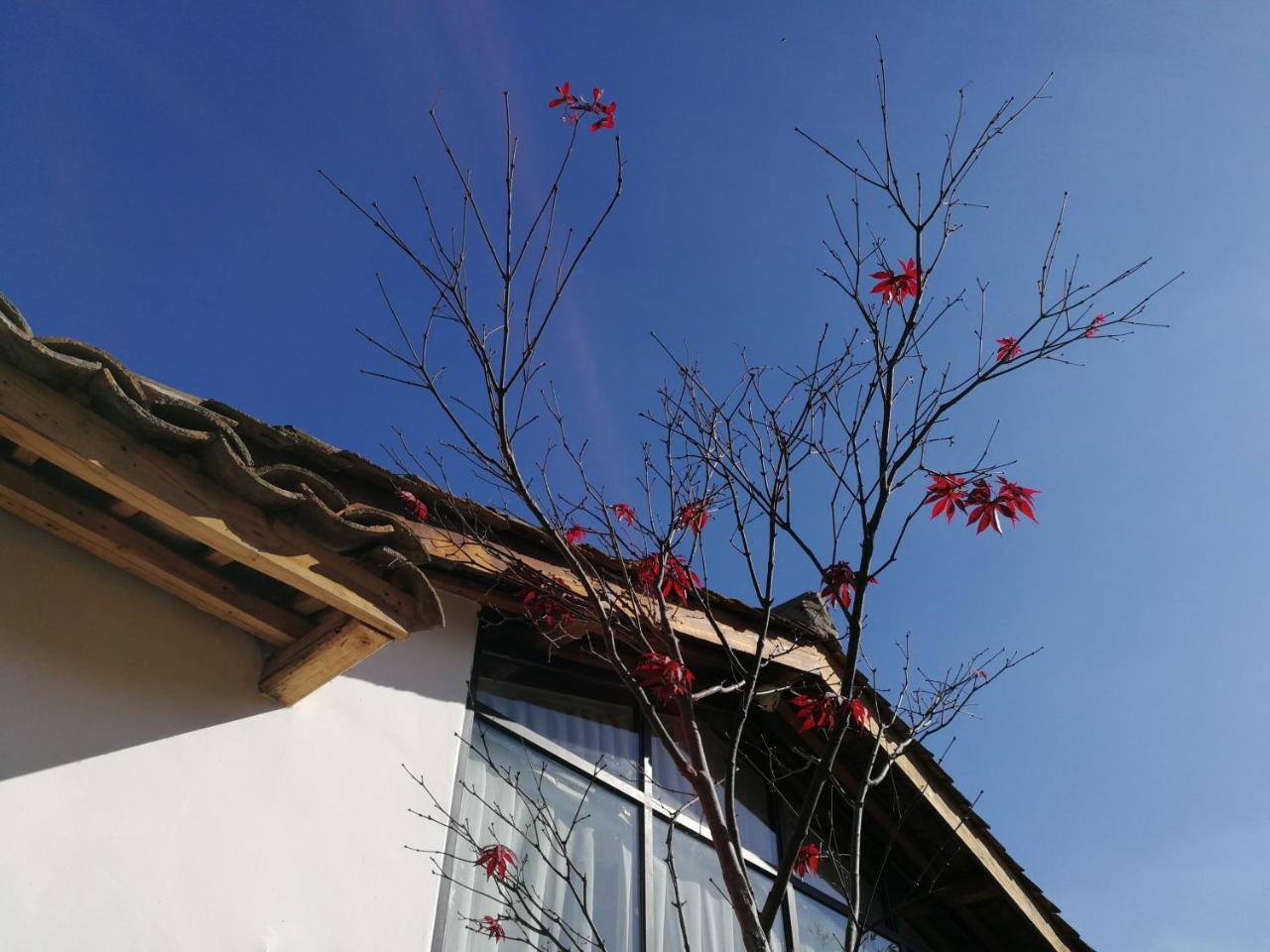 Yan Qi Si He Homestay Kunming Exterior foto